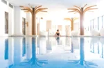 6717 Nature Hôtel & Spa Le Clos des Délices piscine intérieure et spa privatif à Ottrott