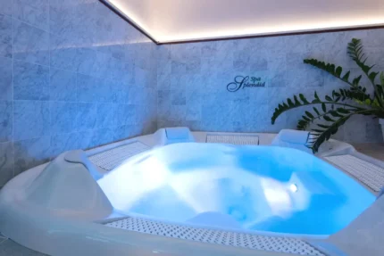 Jacuzzi Espace spa avec piscine intérieure Splendid Hotel & Spa Nice à Nice