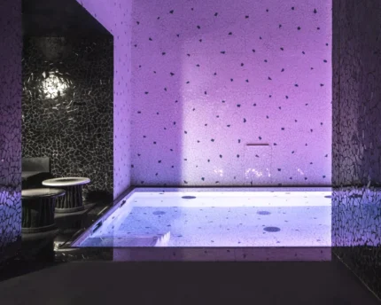 Jacuzzi Hotel Les Bains Paris à Paris