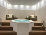 Logis La Venise Verte spa avec jacuzzi et piscine intérieure à Soulaines-Dhuys