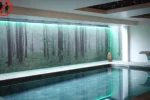 Piscine Europe Haguenau Hotel & Spa à Haguenau