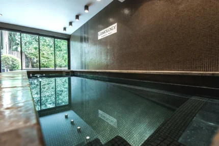 Piscine Hôtel Montmorency & Spa à Carcassonne